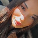 Модель Дита